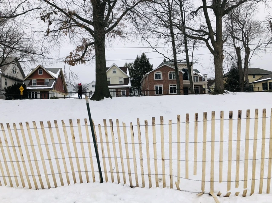 IMG_2716.jpg?type=w966