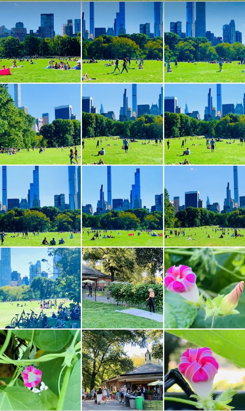 IMG_7702.jpg?type=w966