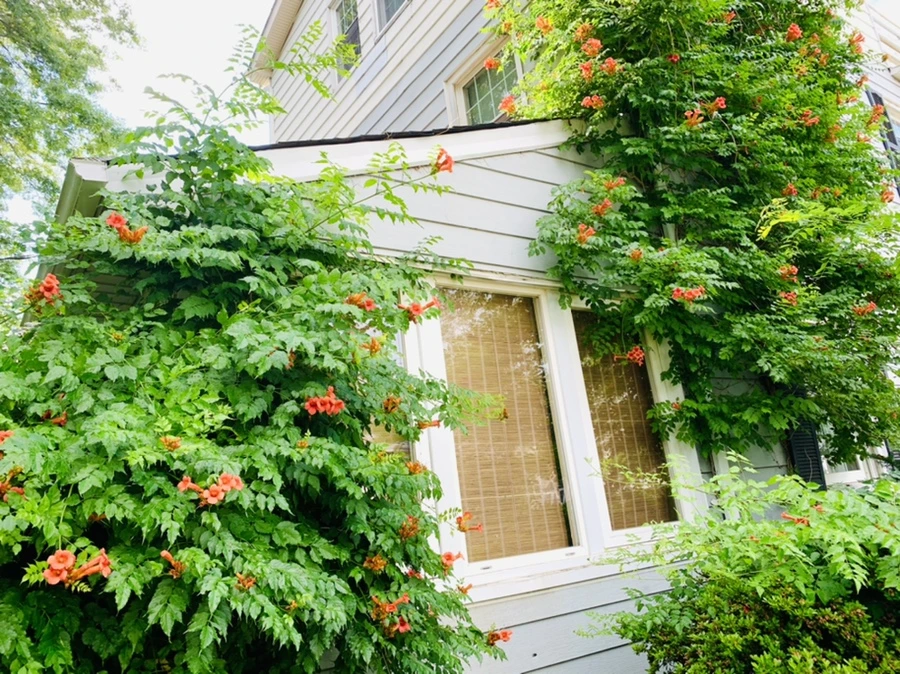 IMG_9617.jpg?type=w966