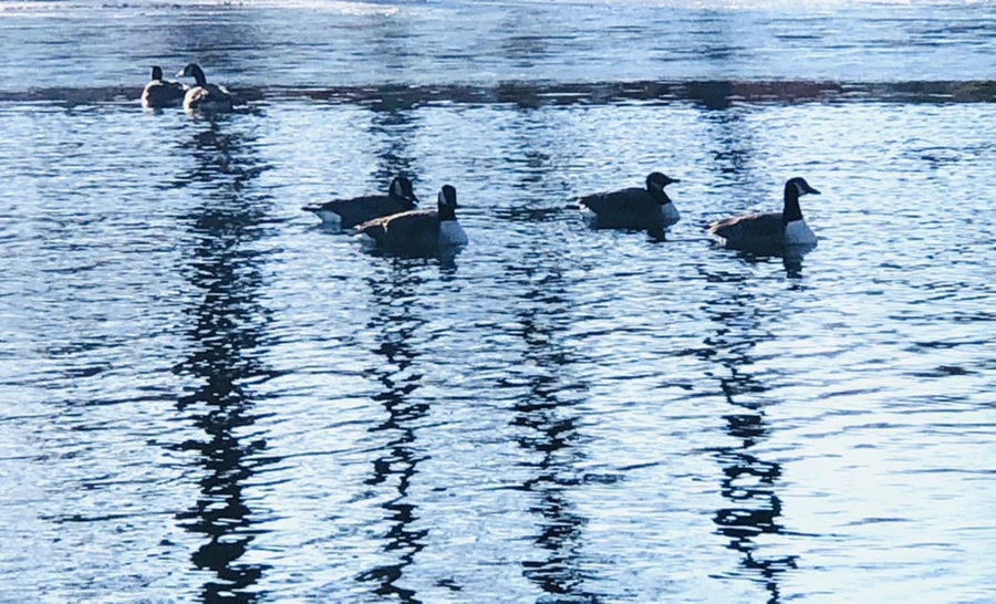 IMG_1471.jpg?type=w966