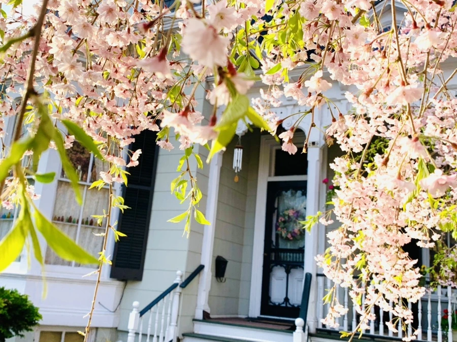 IMG_3735.jpg?type=w966