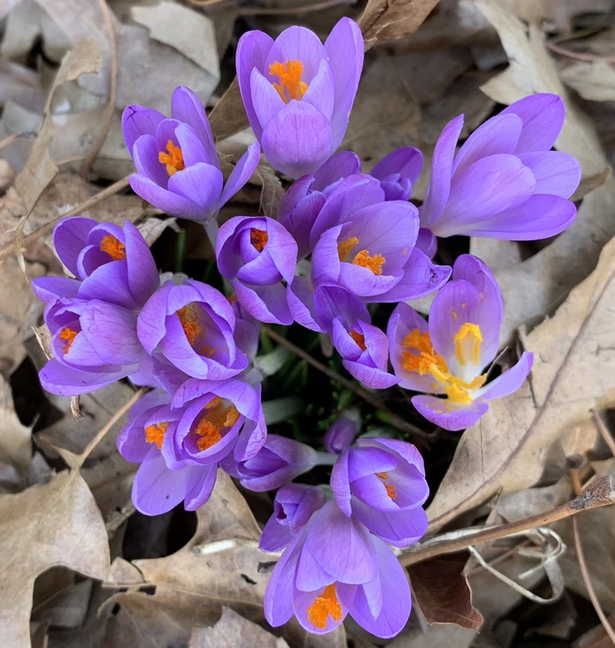 IMG_9698.jpg?type=w966