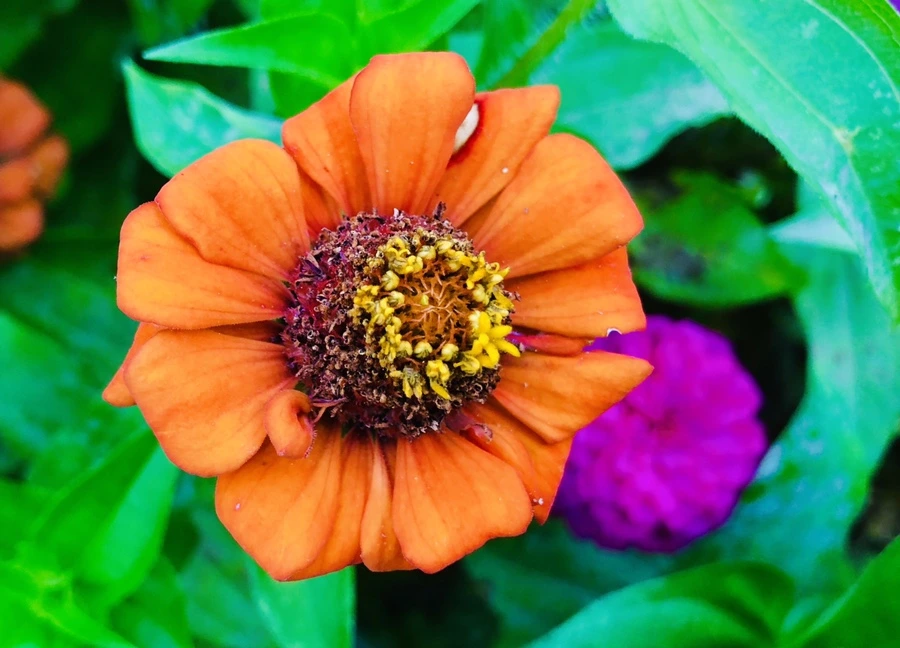 IMG_3649.jpg?type=w966