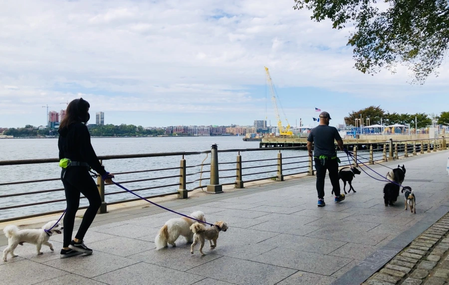 IMG_1258.jpg?type=w966