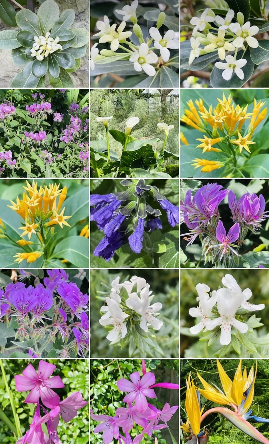 IMG_5412.jpg?type=w966