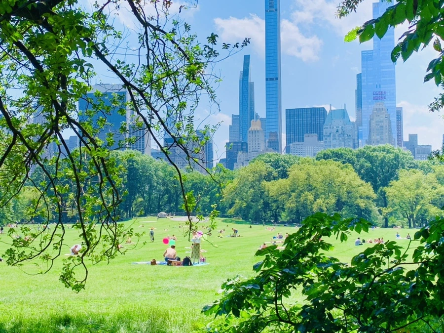 IMG_5398.jpg?type=w966