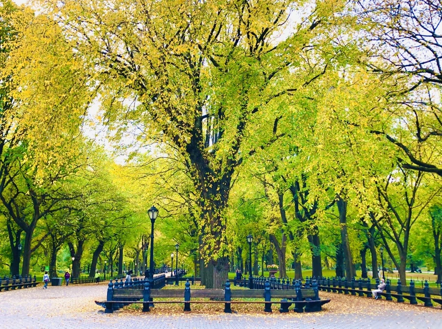 IMG_3021.jpg?type=w966