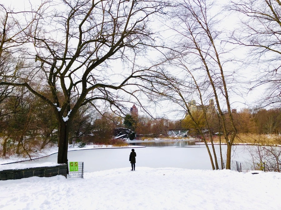 IMG_7290.jpg?type=w966