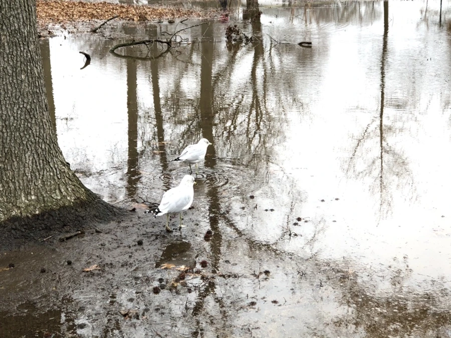 IMG_9420.jpg?type=w966