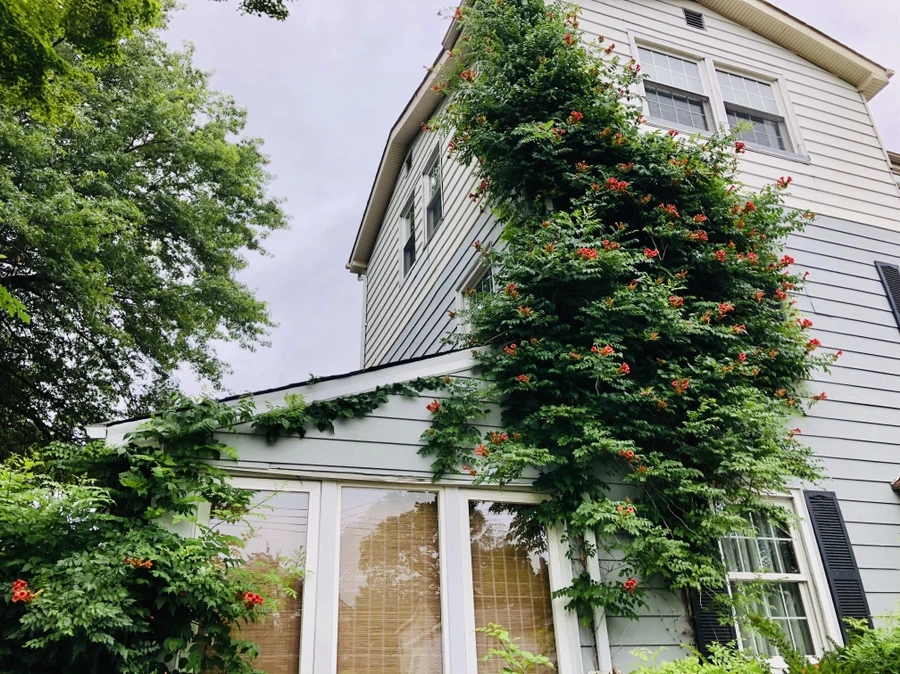 IMG_2053.jpg?type=w966