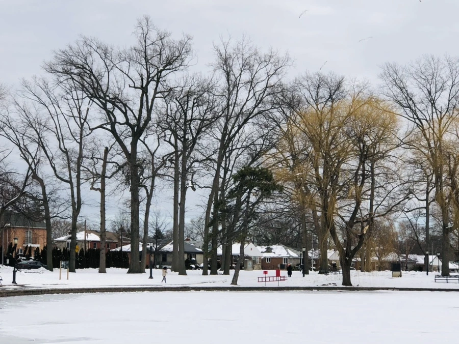 IMG_2378.jpg?type=w966