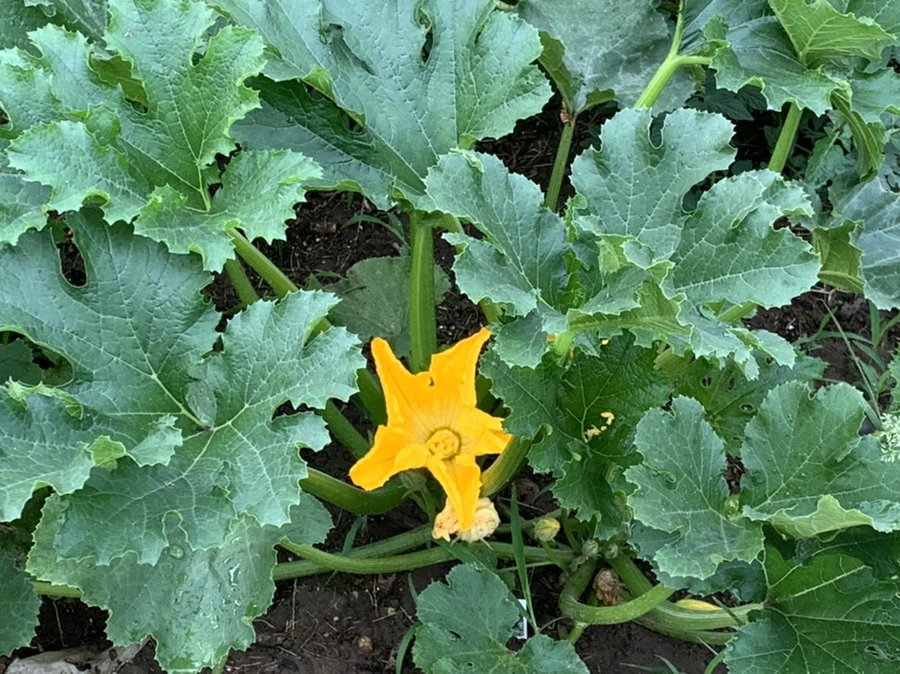 IMG_5026.jpg?type=w966