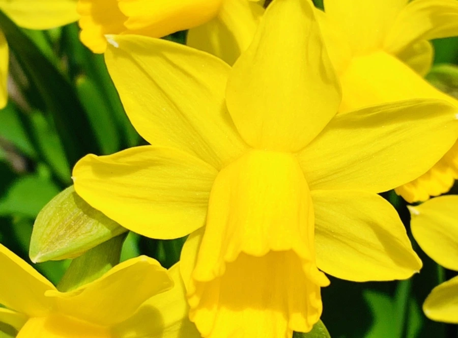 IMG_3397.jpg?type=w966