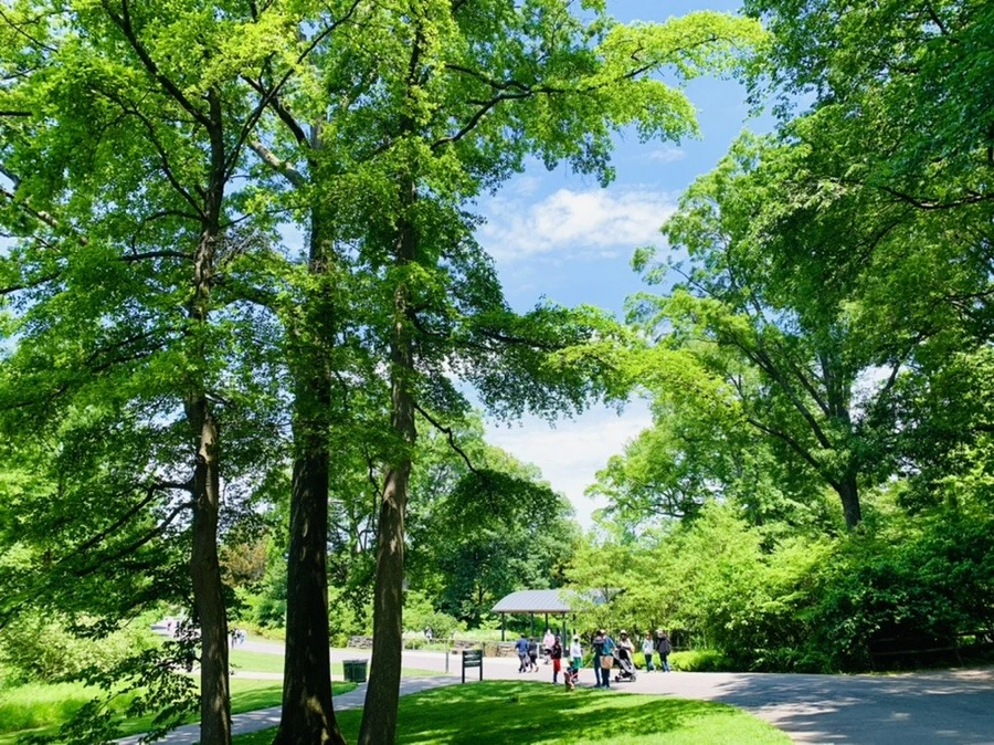 W69XQr1-OWq75PvLA7Y3BC_FVds