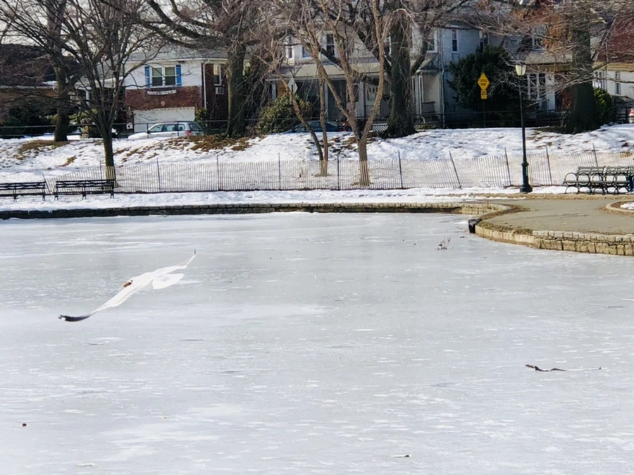 IMG_3185.jpg?type=w966