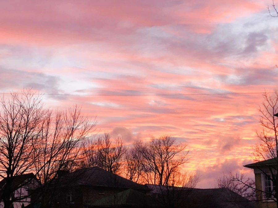 IMG_8259.jpg?type=w966