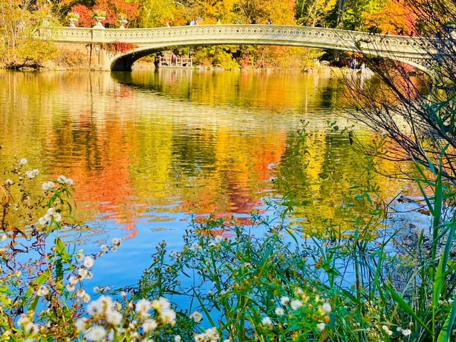 IMG_1655.jpg?type=w966