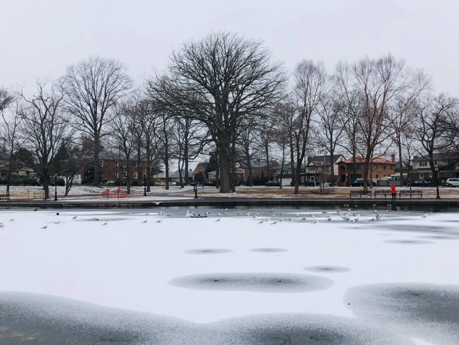 IMG_6153.jpg?type=w966