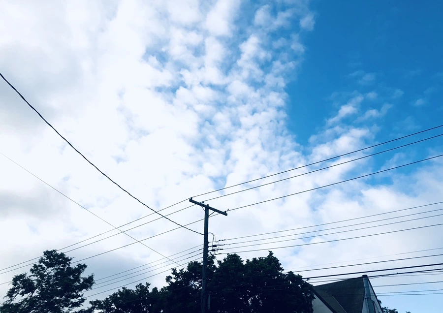 IMG_9691.jpg?type=w966