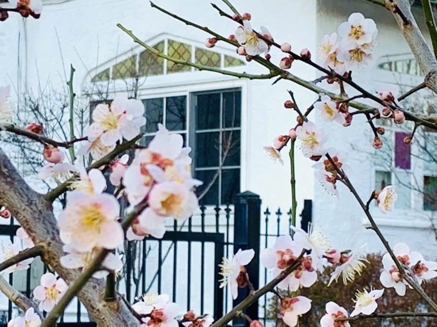 IMG_0856.jpg?type=w966