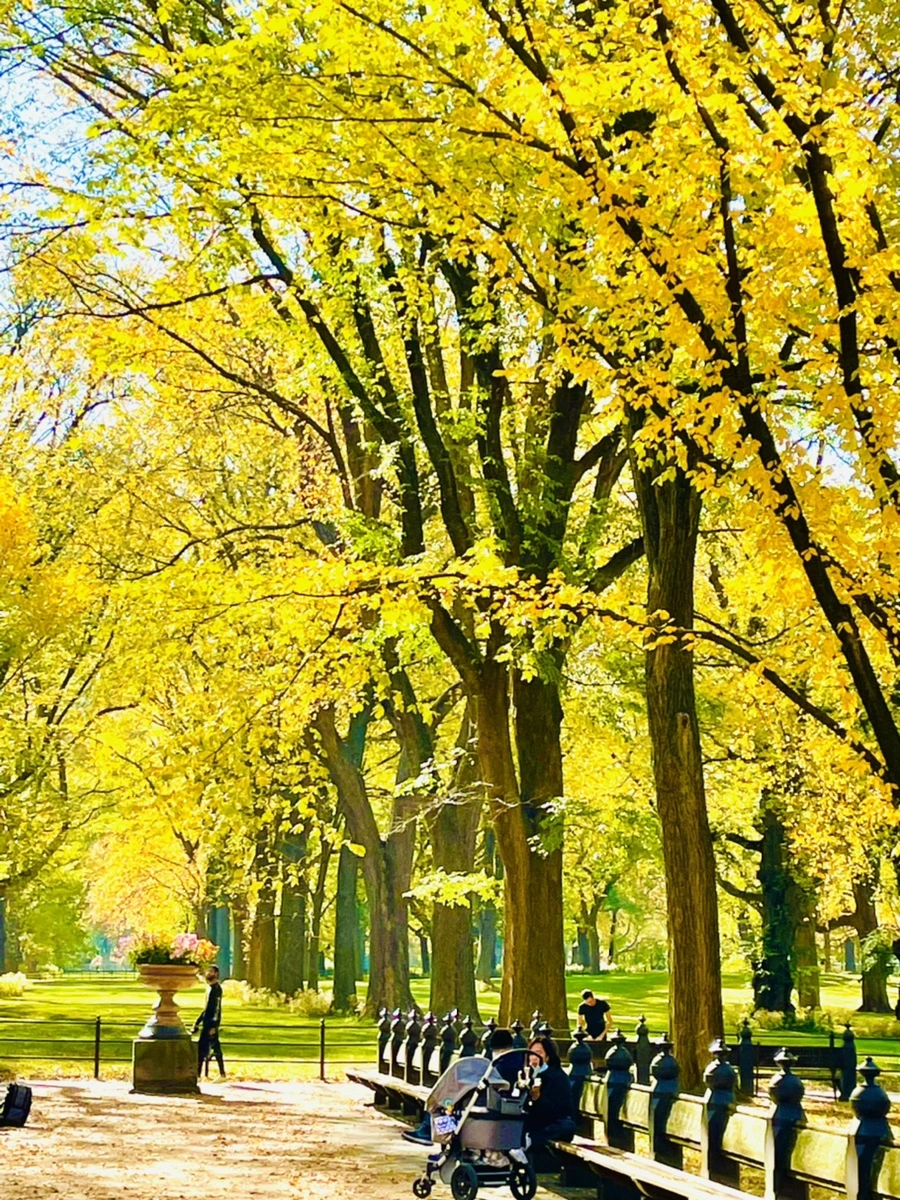 IMG_1596.jpg?type=w966