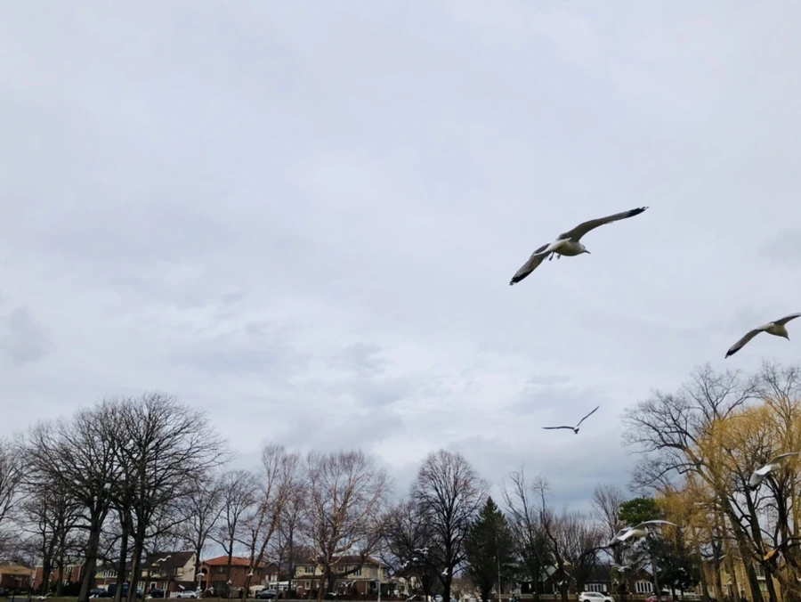 IMG_8645.jpg?type=w966