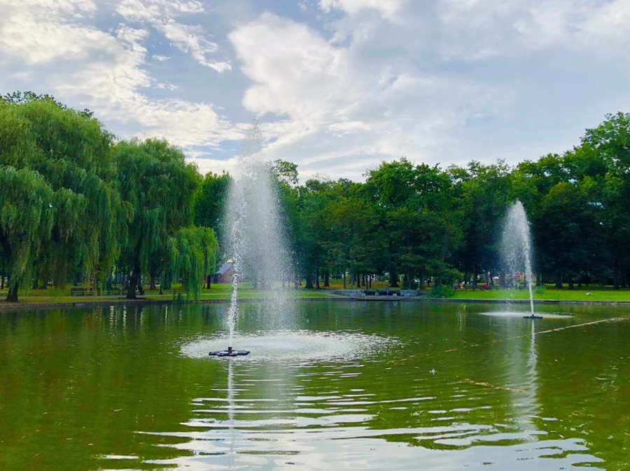 IMG_5684.jpg?type=w966