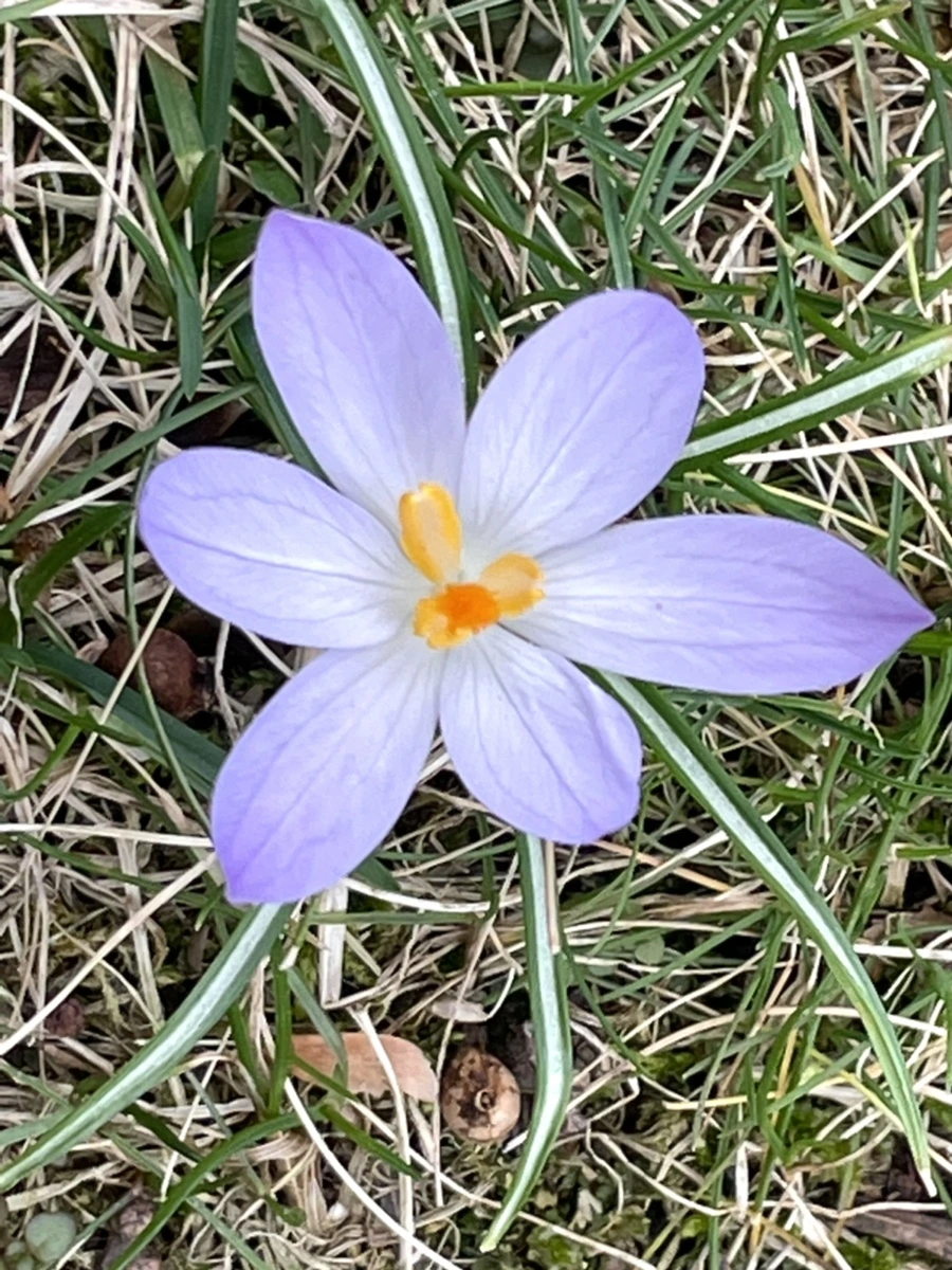 IMG_4079.jpg?type=w966