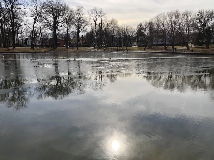 IMG_5685.jpg?type=w966