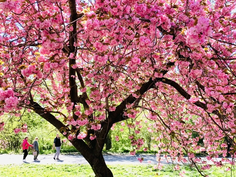 IMG_5991.jpg?type=w966