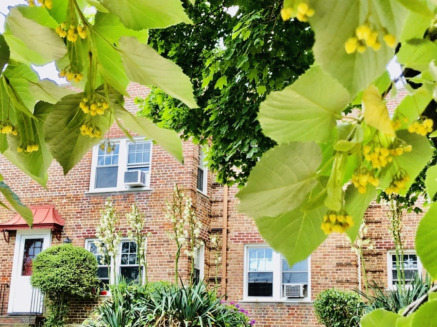 IMG_0589.jpg?type=w966