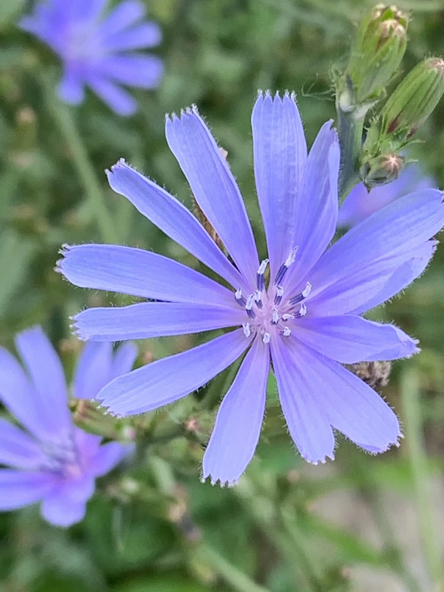 IMG_5902.jpg?type=w966