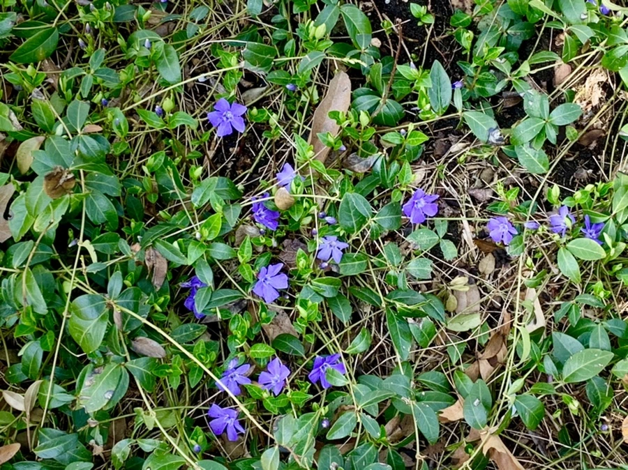 IMG_4314.jpg?type=w966