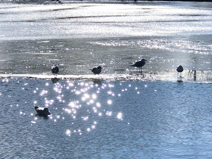 IMG_6797.jpg?type=w966