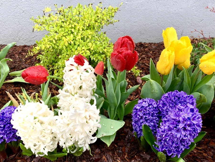 IMG_0693.jpg?type=w966