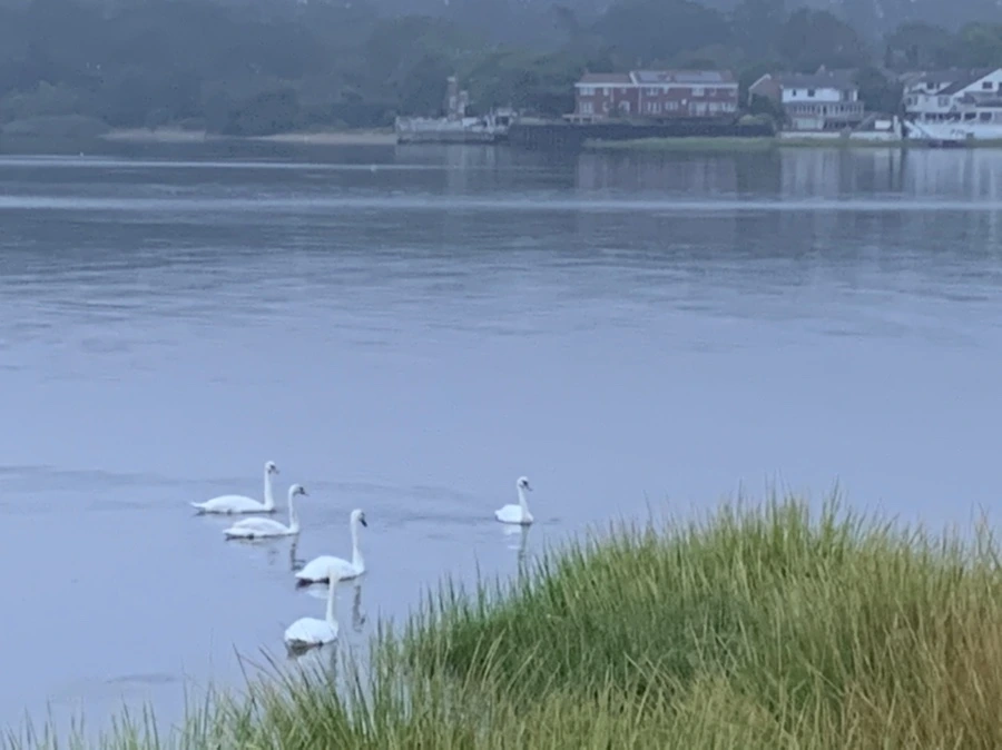 IMG_6644.jpg?type=w966