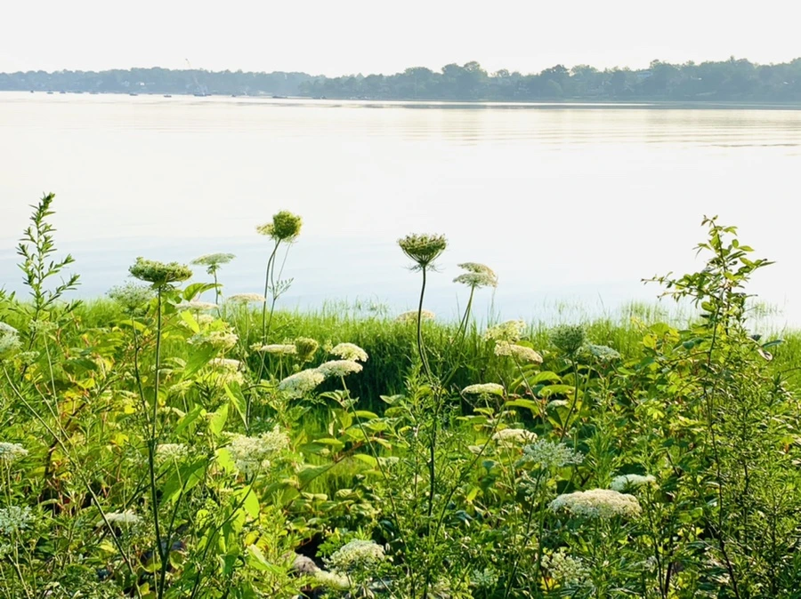 IMG_6465.jpg?type=w966