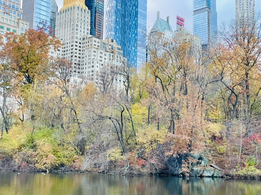 IMG_5313.jpg?type=w966