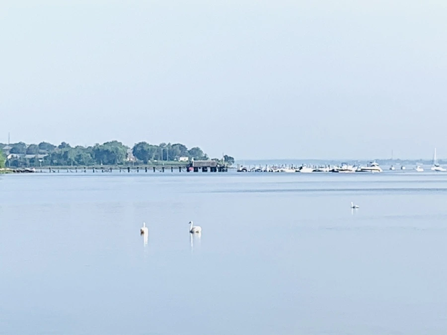 IMG_2032.jpg?type=w966