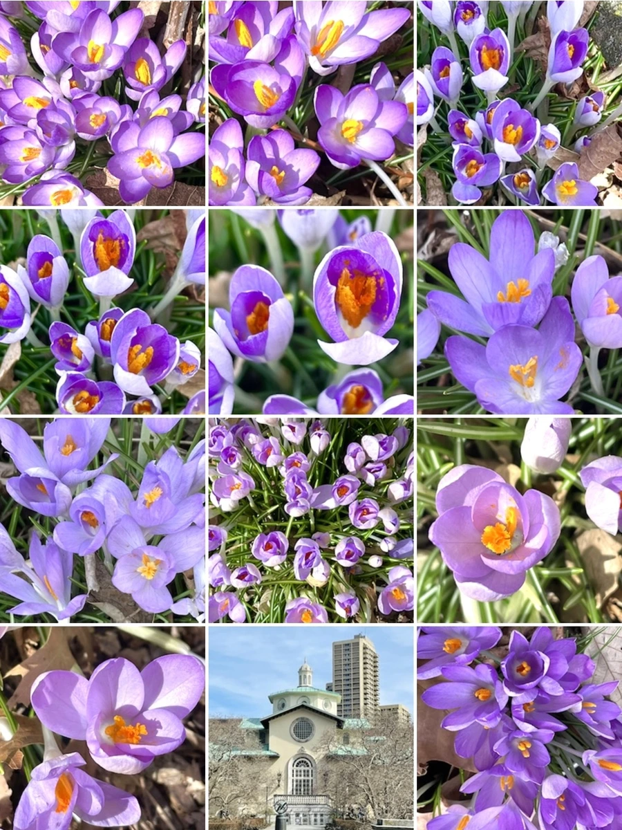 IMG_4255.jpg?type=w966