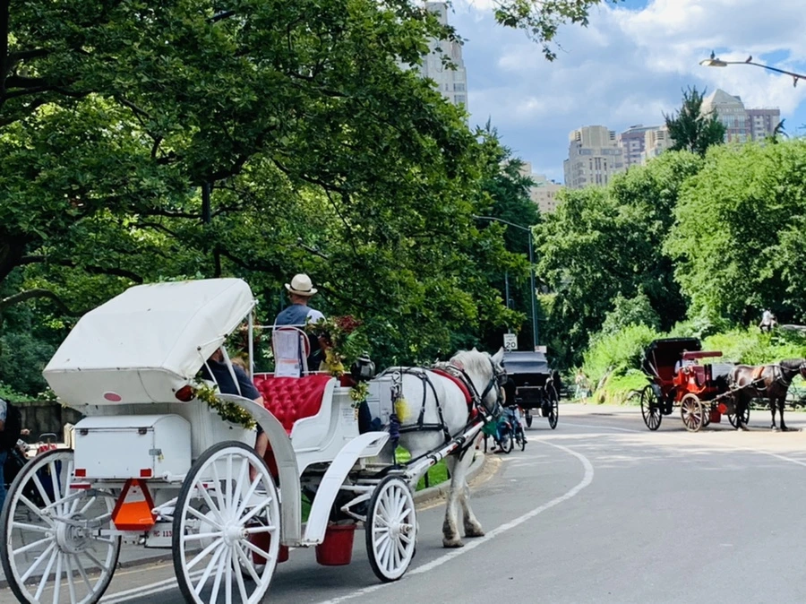 IMG_6482.jpg?type=w966