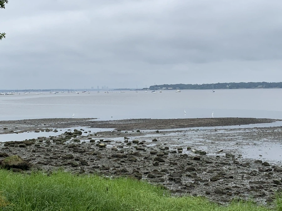 IMG_3719.jpg?type=w966