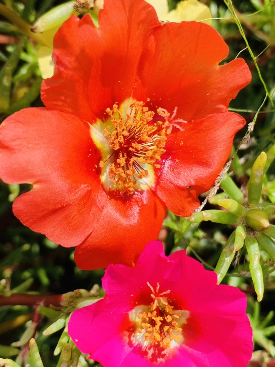 IMG_6672.jpg?type=w966