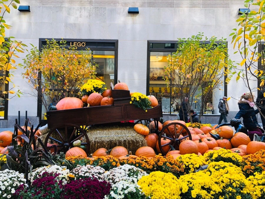 IMG_7178.jpg?type=w966