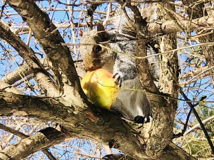 Ow-orW9JSdAexe-jHCoi6zjuDds