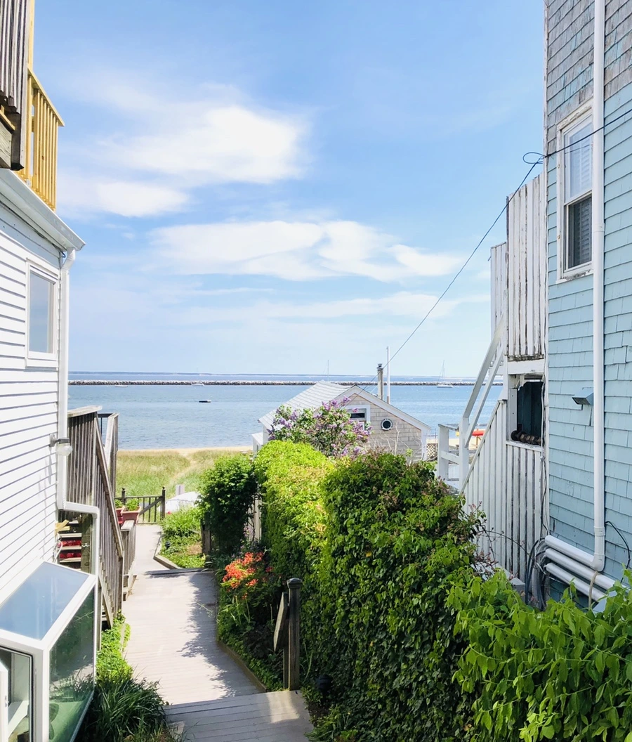 IMG_5081.jpg?type=w966