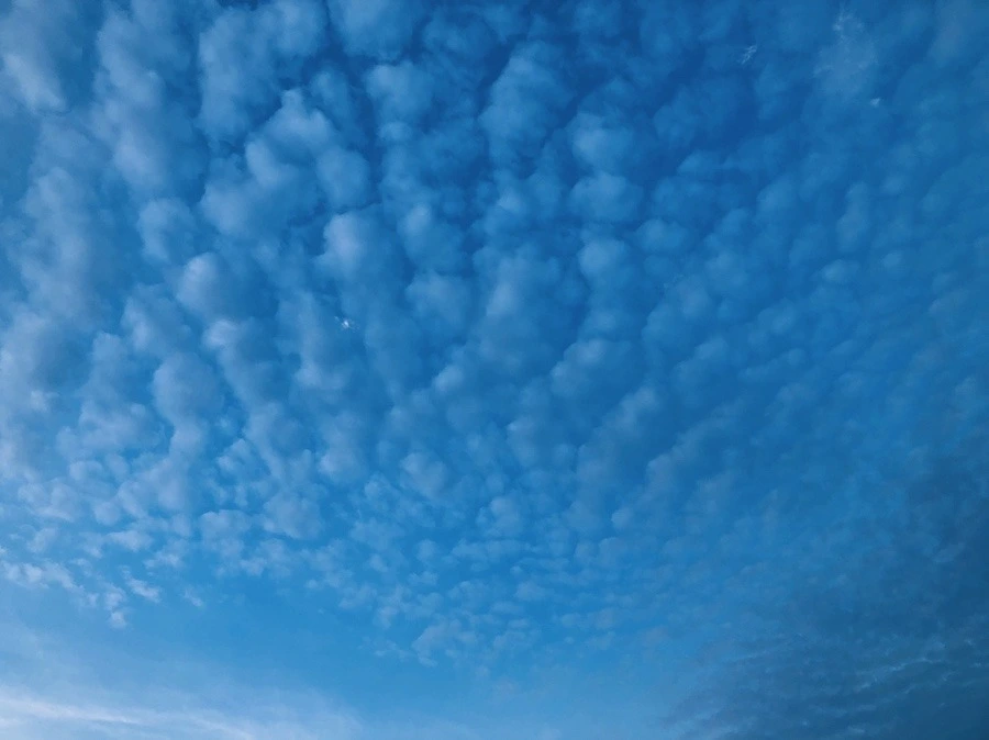 XWEAM2XvrNMo1vrLl9li1OxWAhk