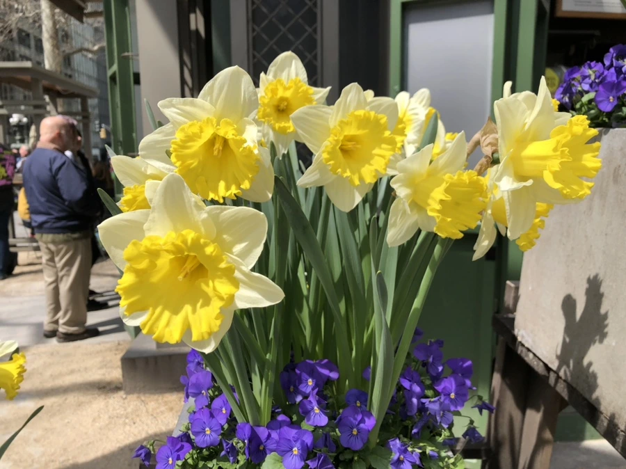 IMG_2531.jpg?type=w966