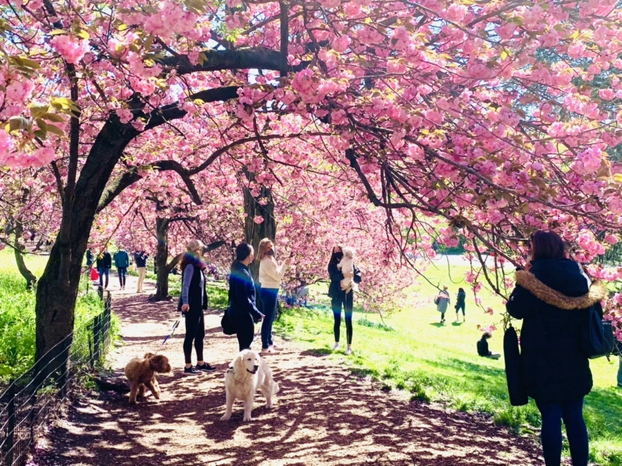 IMG_5901.jpg?type=w966