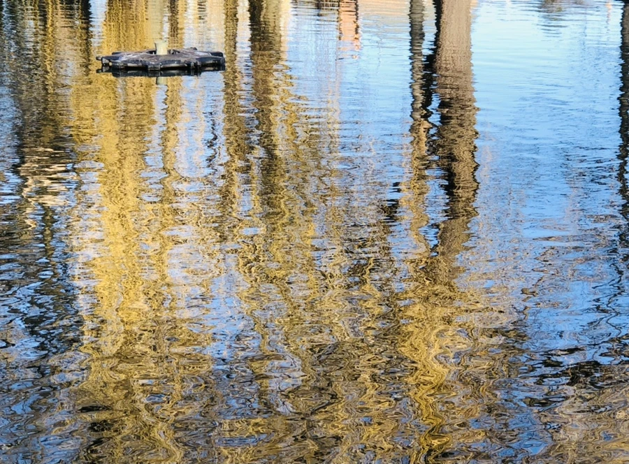 IMG_9778.jpg?type=w966